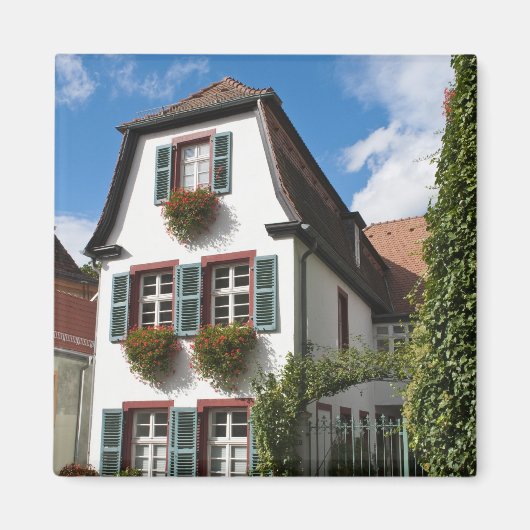 ドイツ，旧市街ハイデルベルク マグネット (正面)