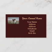 ドイツShorthairedポインターの繁殖動物の名刺 名刺 (裏面)