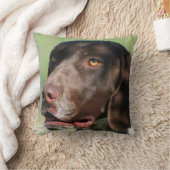 ドイツShorthairedポインター犬 クッション (ブランケット)