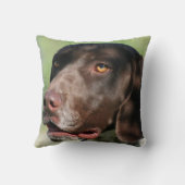 ドイツShorthairedポインター犬 クッション (裏面)