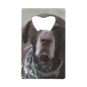ドイツShorthairedポインター犬 クレジットカード栓抜き (裏面)