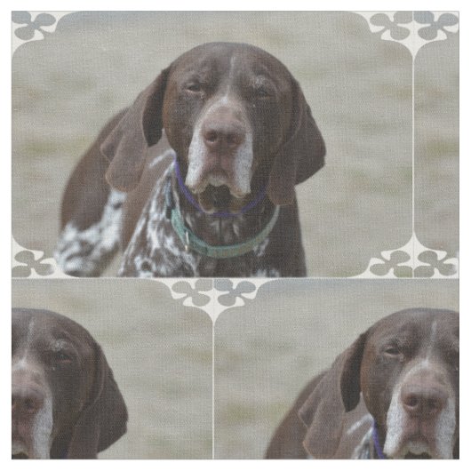 ドイツShorthairedポインター犬 ファブリック (クローズアップ)