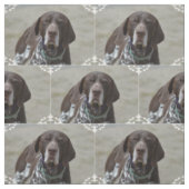 ドイツShorthairedポインター犬 ファブリック (見本)