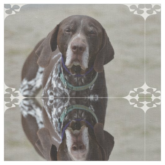 ドイツShorthairedポインター犬 ファブリック (クローズアップ)
