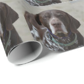 ドイツShorthairedポインター犬 ラッピングペーパー (ロールコーナー)