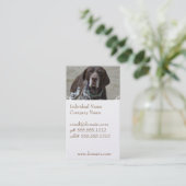 ドイツShorthairedポインター犬 名刺 (スタンド正面)