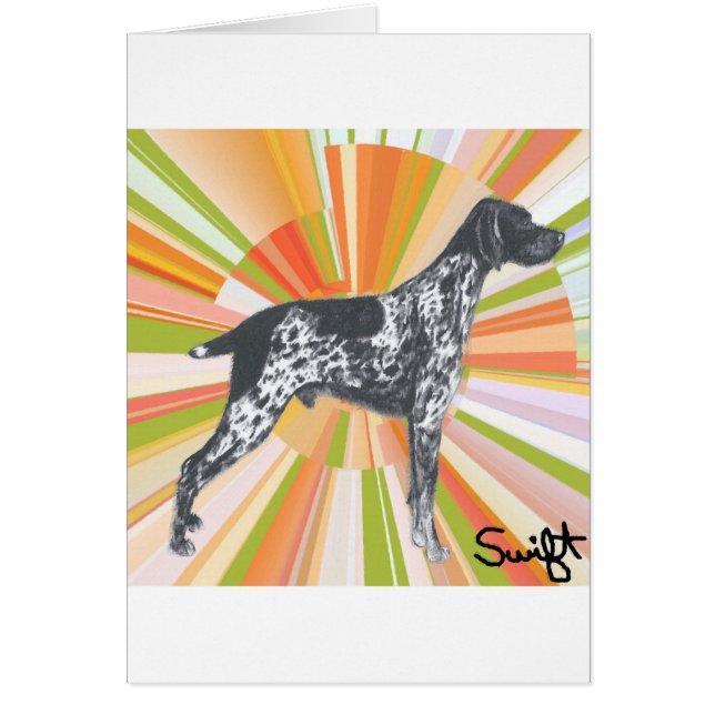 ドイツShorthairedポインター (正面)