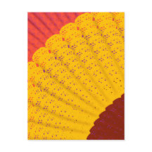 ドイリー, ファン