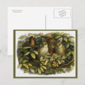 ドイルの「フェアリーとフクロウたち」 ポストカード (正面/裏面)