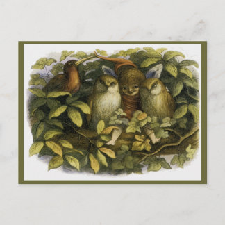 ドイルの「フェアリーとフクロウたち」 ポストカード