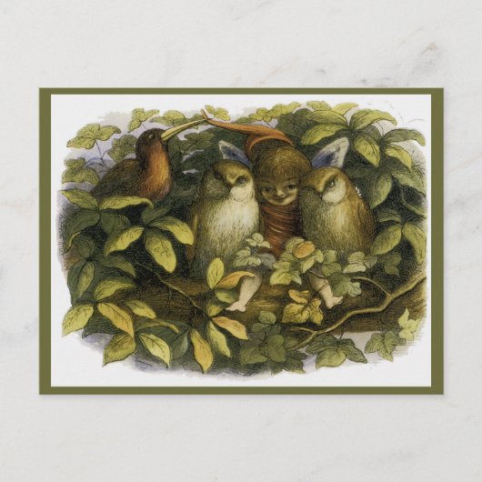 ドイルの「フェアリーとフクロウたち」 ポストカード (正面)