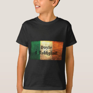 ドイルアイルランド国旗 Tシャツ