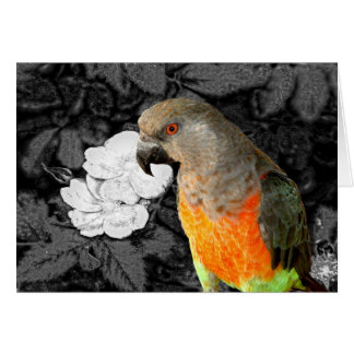 ドゥキーデューク