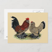 ドゥクルバンタムス:ミルフルーア ポストカード (正面/裏面)