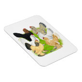 ドゥクレスシックスヘン マグネット (右側)