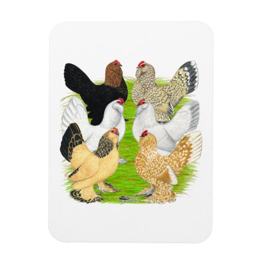 ドゥクレスシックスヘン マグネット (縦)