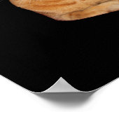 ドゥストレスミオウ – オレンジキャットストレス私アウト ポスター (角)