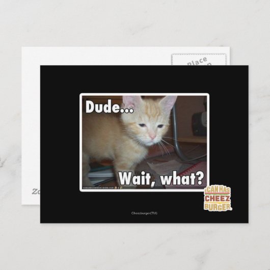 ドゥデ ポストカード (正面/裏面)