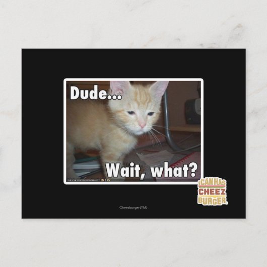 ドゥデ ポストカード (正面)