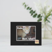 ドゥデ ポストカード (スタンド正面)