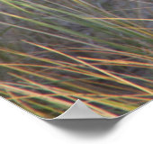 ドゥネス子猫 ポスター (角)