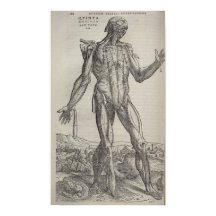 ドゥフマニコルプリ