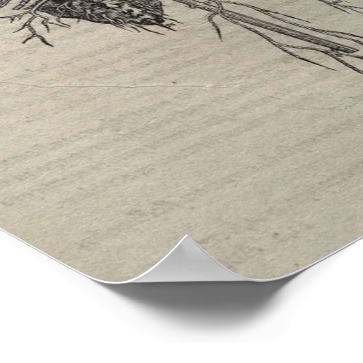 ドゥフマニ伍長 ポスター (角)