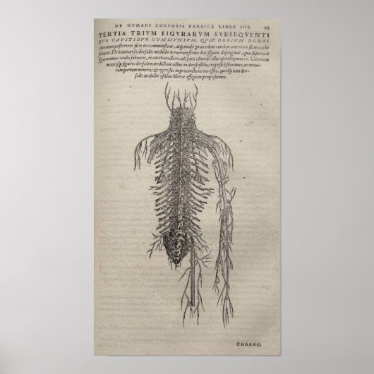 ドゥフマニ伍長 ポスター (正面)