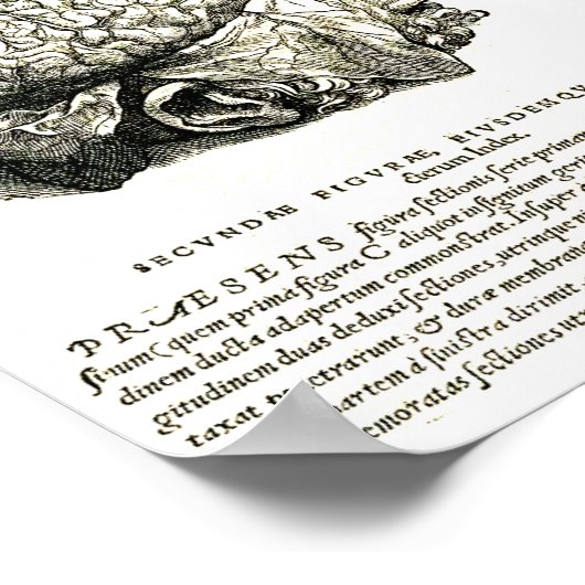 ドゥフマニ伍長 ポスター (角)