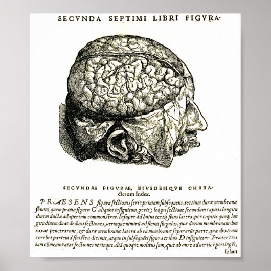 ドゥフマニ伍長 ポスター (正面)