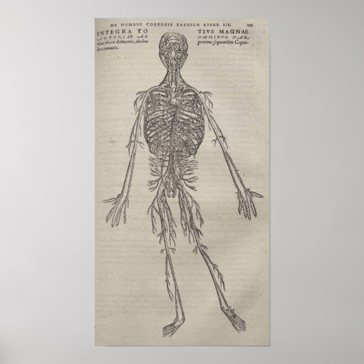 ドゥフマニ伍長 ポスター (正面)