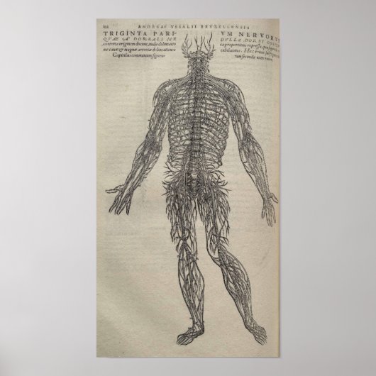 ドゥフマニ伍長 ポスター (正面)