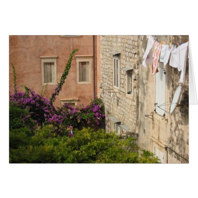 ドゥブロブニクの裏庭 (正面横)