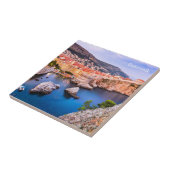 ドゥブロヴニククロアチア タイル (側面)