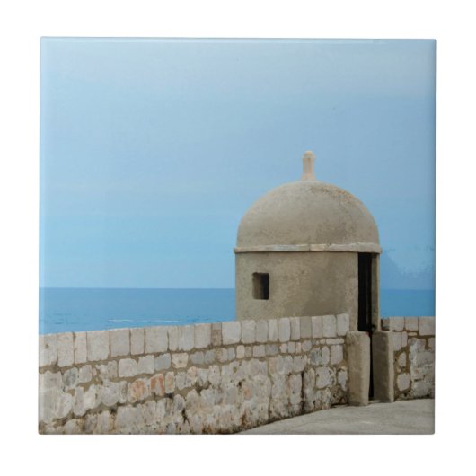 ドゥブロヴニク市絵画の壁の水彩色 タイル (正面)