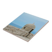 ドゥブロヴニク市絵画の壁の水彩色 タイル (側面)