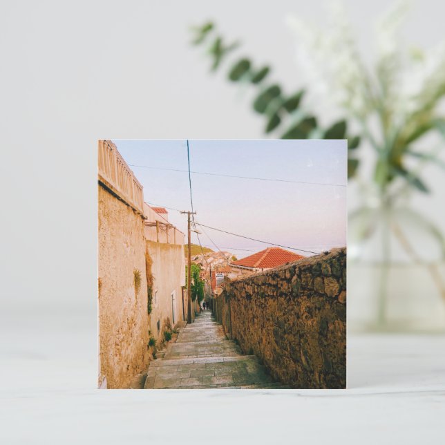 ドゥブロヴニク市 (スタンド正面)