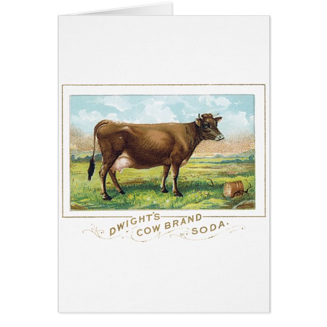 ドゥワイトの牛ブランドのソーダ (正面)