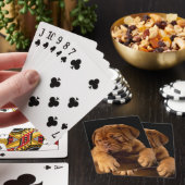 ドゥーグ・ド・ボルドーフランスのマスティフ・パピー トランプ (インサイチュ)