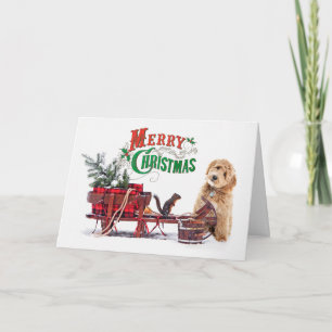ドゥードル犬のクリスマス カード