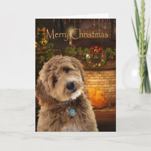 ドゥードル犬のクリスマス カード