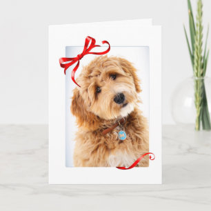 ドゥードル犬のクリスマス カード