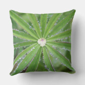 ドウドロップ クッション (裏面)