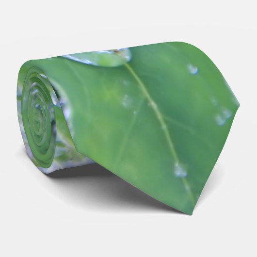 ドウドロップ ネクタイ (ロール)