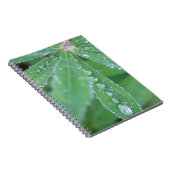 ドウドロップ ノートブック (右側)