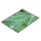 ドウドロップ ノートブック (左側)