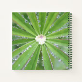 ドウドロップ ノートブック (裏面)