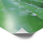 ドウドロップ フォトプリント            (角)