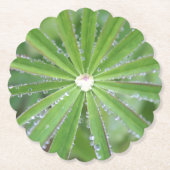 ドウドロップ ペーパーコースター (正面)