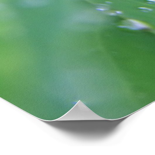 ドウドロップ ポスター (角)